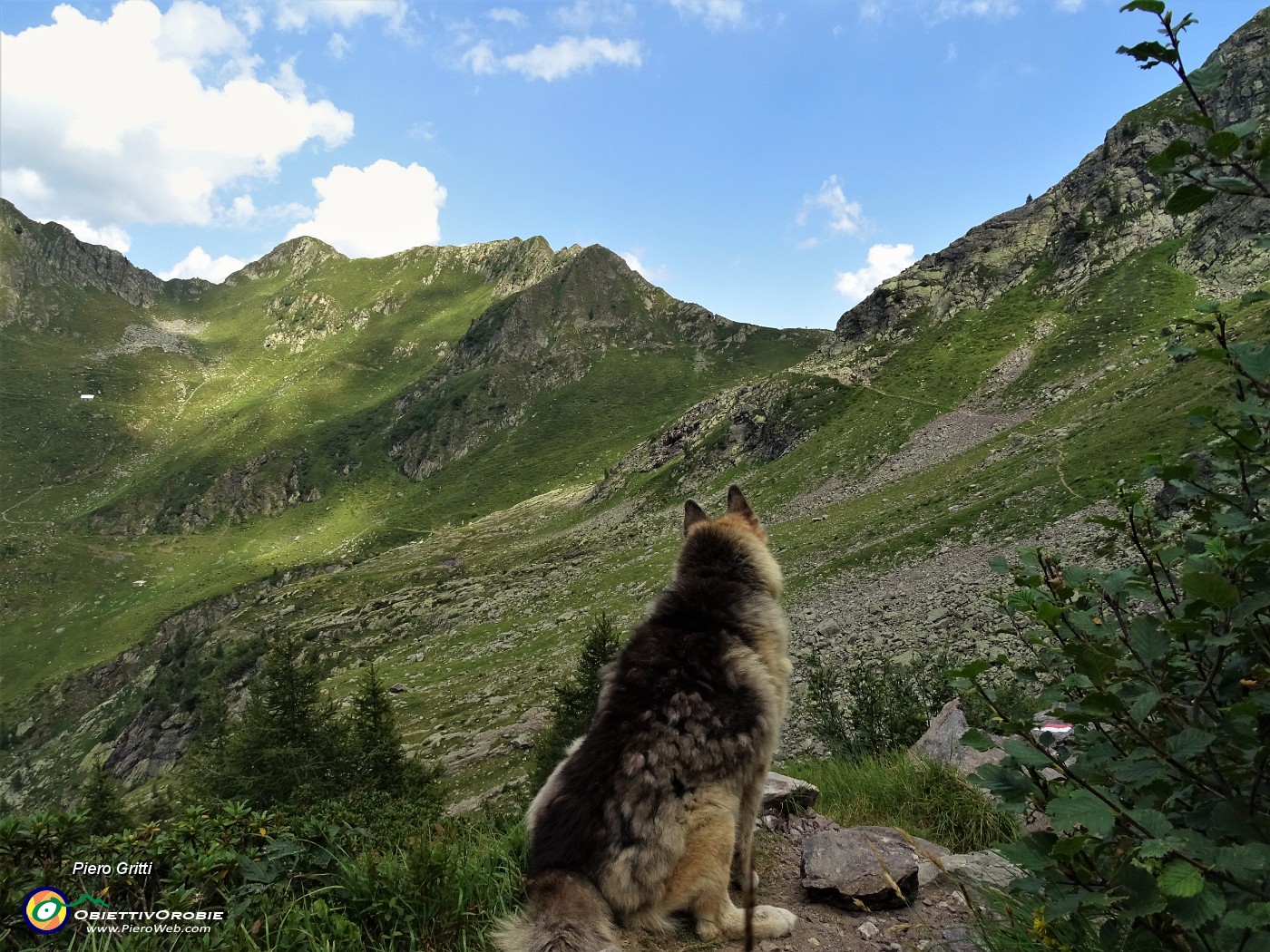 68 Dori osserva il sent. 161 di rientro al Passo di Verrobbio in Val Bomino.JPG